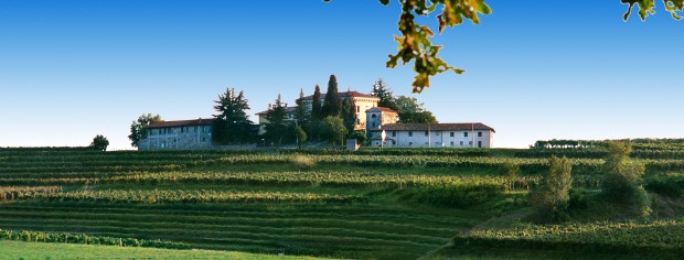 Schlichtheit und Eigentümlichkeit in den Weinen von Poggiobello